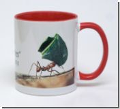 Tasse mit Jahrestext