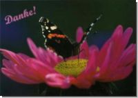 D5 - Grusskarte Schmetterling auf Blume